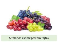 menukep_altalanos-300-1